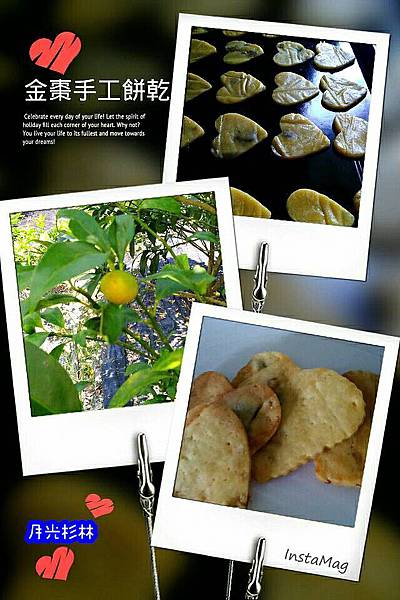金棗手工餅乾