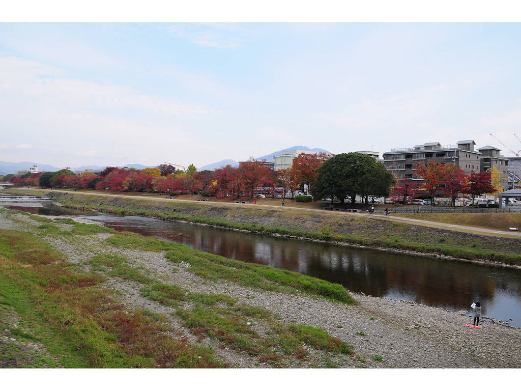 20141117-2 京奈第4日之鴨川單車道 (1).jpg