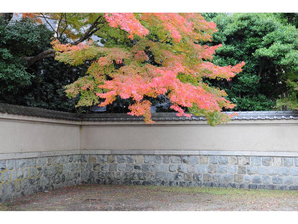 20141117-3 京奈第4日之下鴨神社 (1).jpg