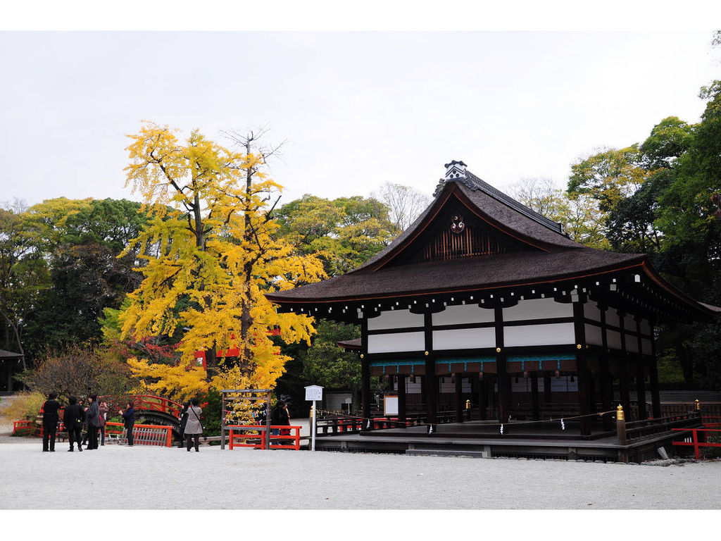 20141117-3 京奈第4日之下鴨神社 (26).jpg