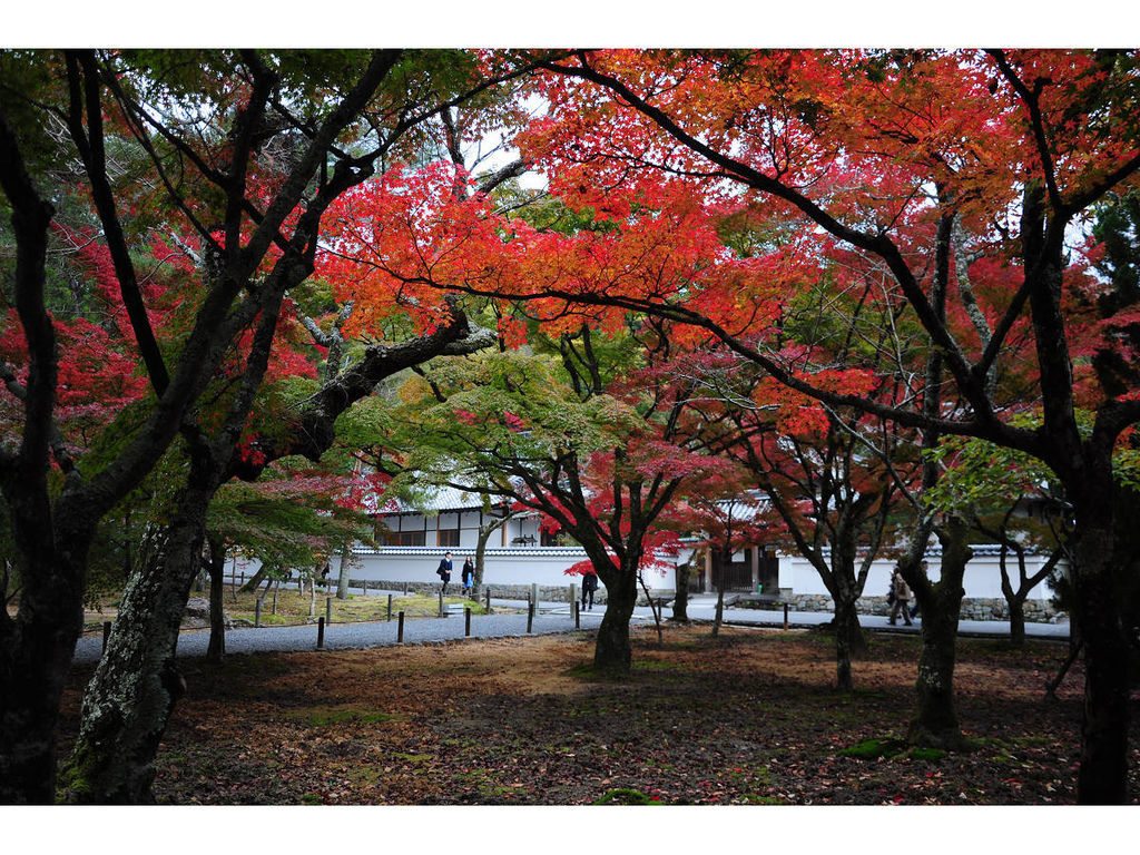 20141117-8 京奈第4日之南禪寺 (8).jpg