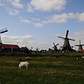 D6-20180517-贊斯風車村-阿姆斯特丹 (131).jpg