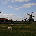 D6-20180517-贊斯風車村-阿姆斯特丹 (132).jpg