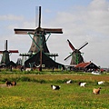 D6-20180517-贊斯風車村-阿姆斯特丹 (134).jpg