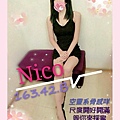 NICO (2).jpg