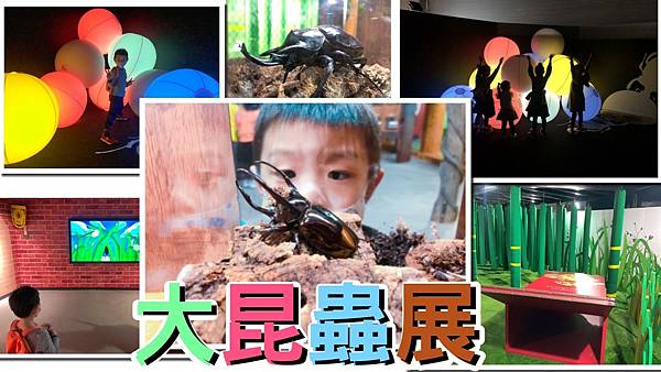 大昆蟲展