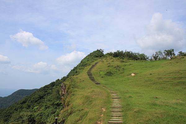 0806桃源谷草嶺古道健行 (9).JPG