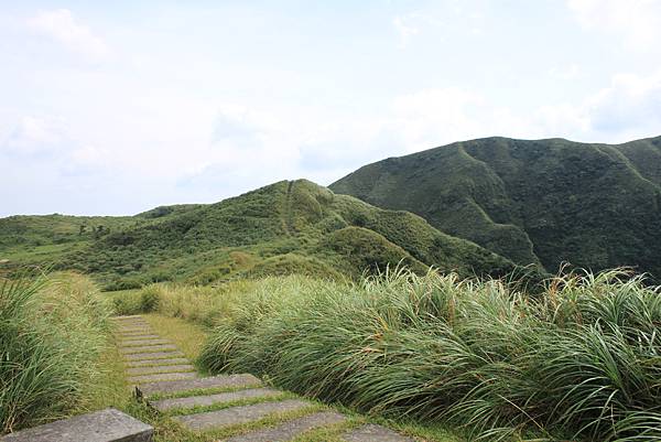 0806桃源谷草嶺古道健行 (26).JPG