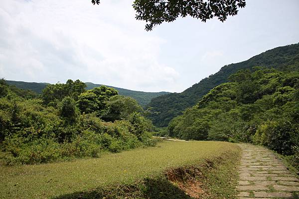 0806桃源谷草嶺古道健行 (66).JPG