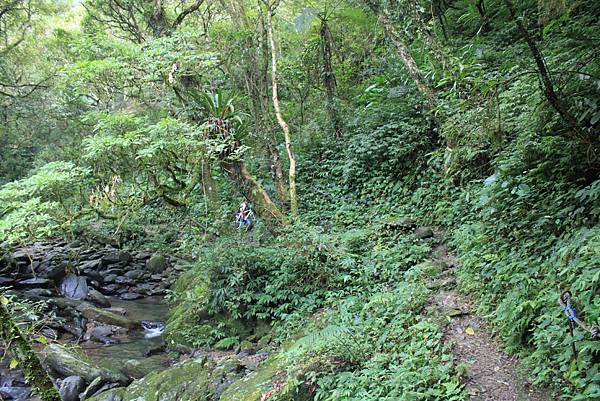 0925桶後越嶺古道健行 (69).JPG