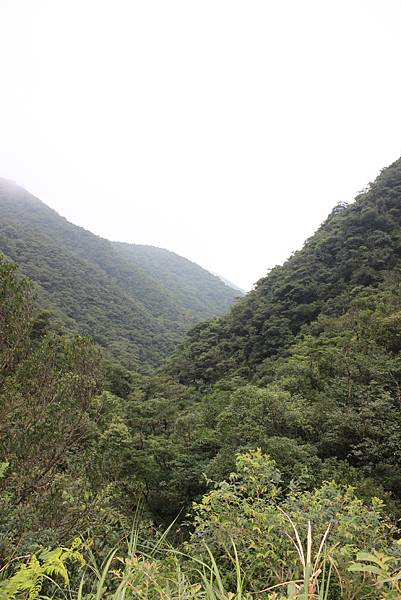 0925桶後越嶺古道健行 (83).JPG