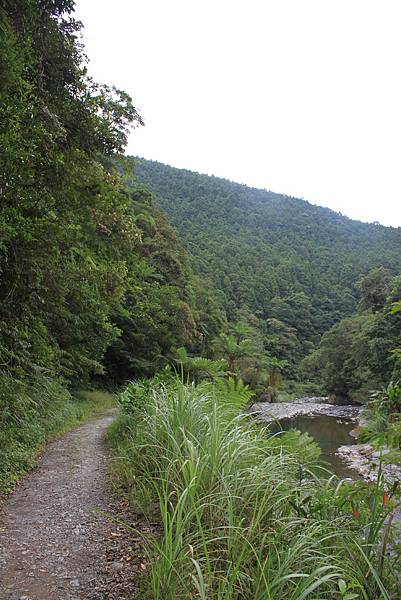 0925桶後越嶺古道健行 (92).JPG