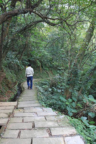 青山瀑布山婆林 (7).JPG