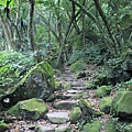 青山瀑布山婆林 (22).JPG