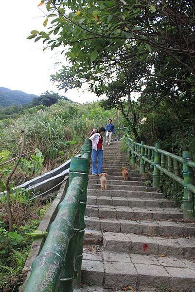 青山瀑布山婆林 (46).JPG