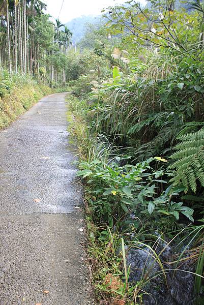 二登石牛山 遊羅馬公路(3).JPG