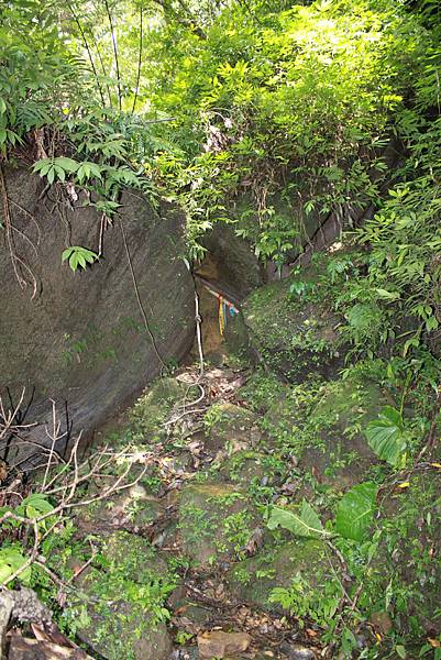 二登石牛山 遊羅馬(38).JPG