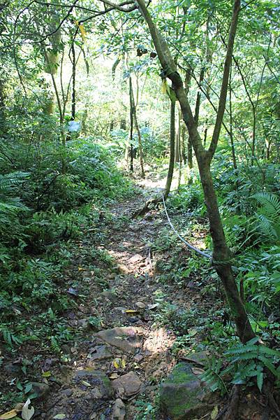 二登石牛山 遊羅馬(82).JPG