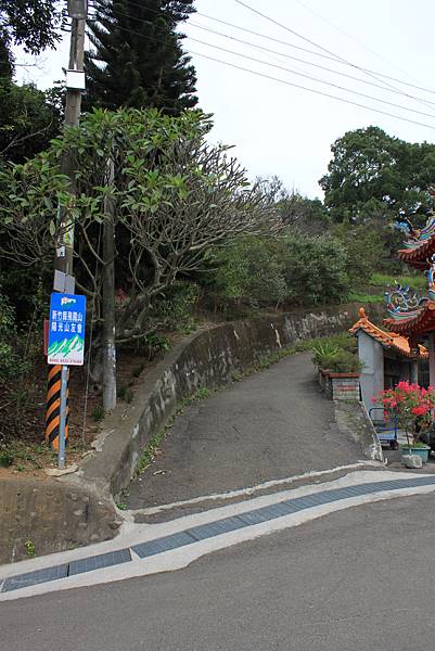 1126飛鳳山青草湖(2).JPG