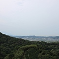 1126飛鳳山青草湖(4).JPG