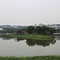 1126飛鳳山青草湖(27).JPG
