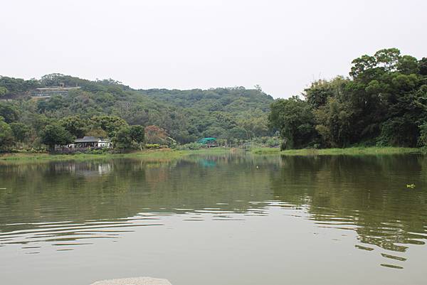 1126飛鳳山青草湖(46).JPG