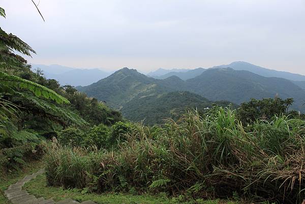 1204登五分山 (27).JPG