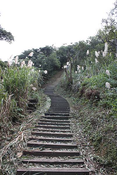 1225汐止大尖山四分尾山 (18).JPG