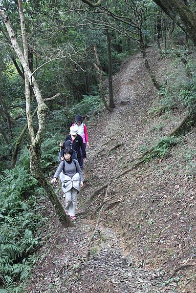 1225汐止大尖山四分尾山 (25).JPG