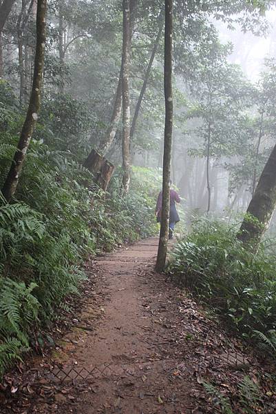 1231來去馬那邦山 (55).JPG