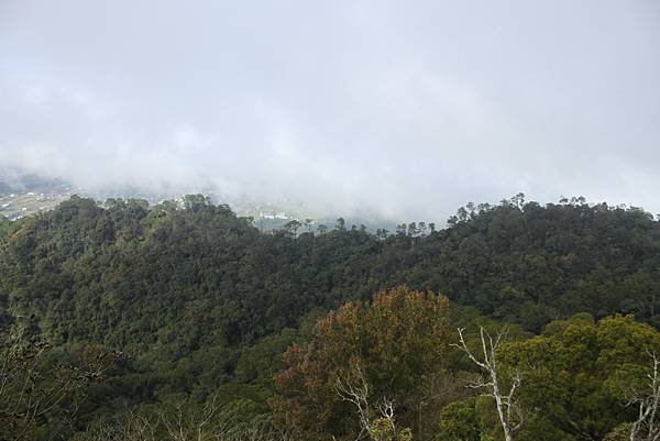 0108大溪白石山 (43).JPG