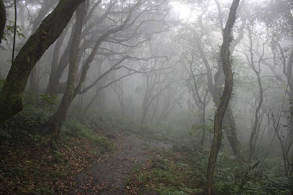 0318青天宮上面天山 (33)