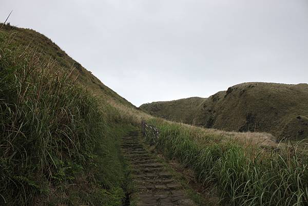 0401小油坑登七星山 (8)