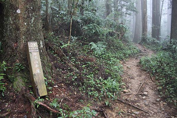 0407苗栗第一高山加里山 (32)