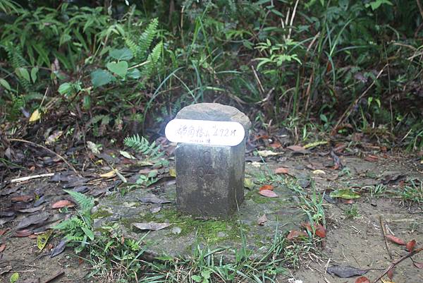 0415銀河洞越嶺順登鵝角格山 (29) 0415銀河洞越嶺順登鵝角格山 (29)