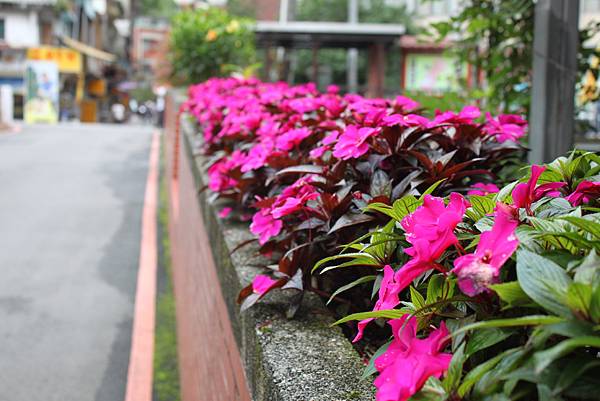 0429淡蘭古道接烏塗窟步道 (33)