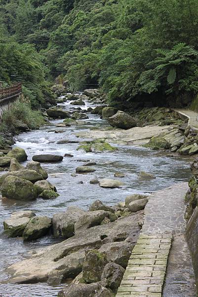 0429淡蘭古道接烏塗窟步道 (41)