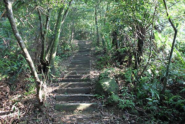 0505登猴山岳 (29)