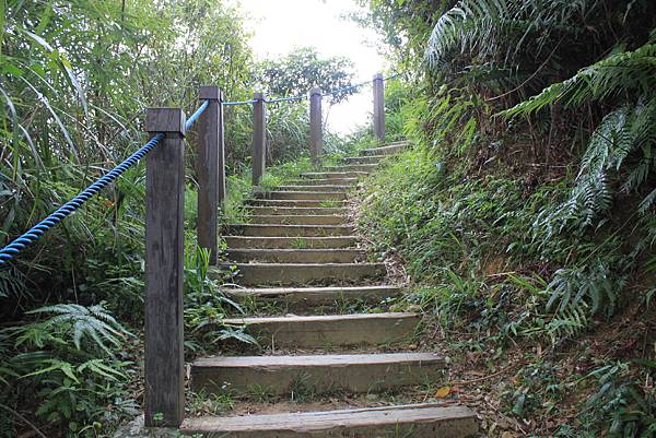 I0630新店美山登山步道 (21)