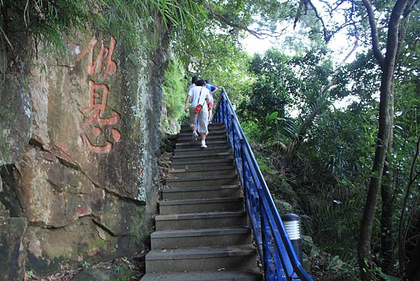 I0630新店美山登山步道 (35)