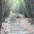 0722坪頂古圳親山步道 (7)