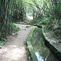 0722坪頂古圳親山步道 (20)