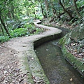 0722坪頂古圳親山步道 (21)