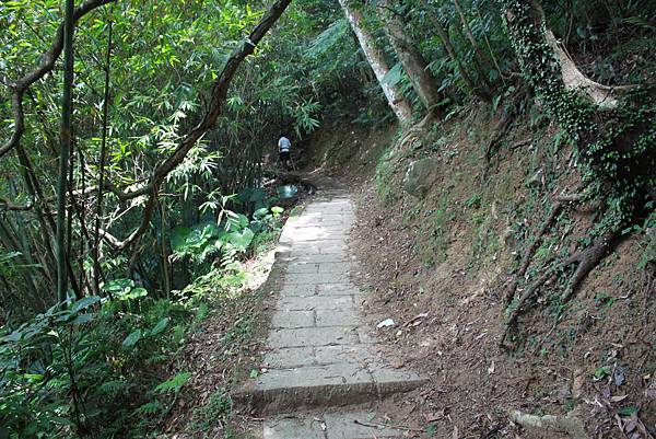 0722坪頂古圳親山步道 (35)