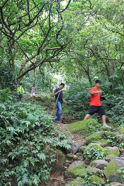 0930小粗坑古道上石門山頂 (36)