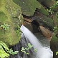 1007鯉魚山、忠勇山登山行 (8)