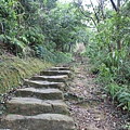 1007鯉魚山、忠勇山登山行 (16)