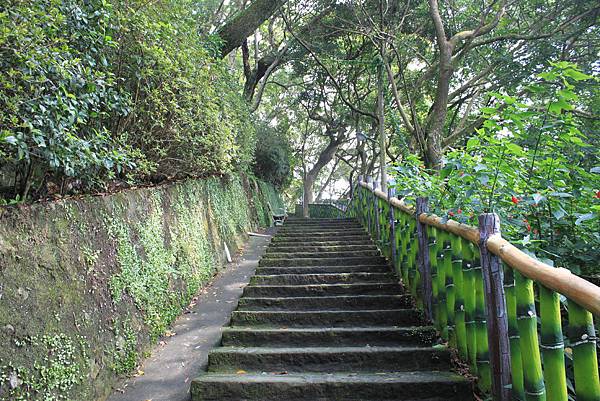 1007鯉魚山、忠勇山登山行 (30)