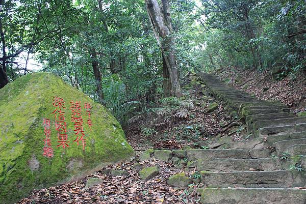 1007鯉魚山、忠勇山登山行 (63)