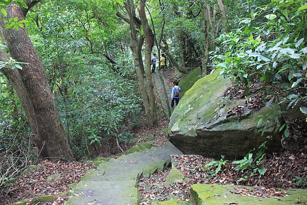 1007鯉魚山、忠勇山登山行 (64)